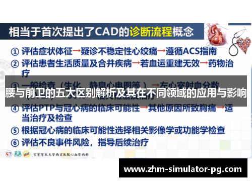 腰与前卫的五大区别解析及其在不同领域的应用与影响