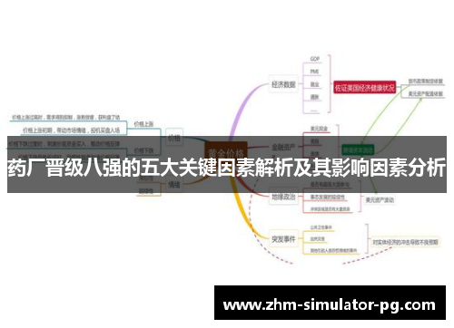 药厂晋级八强的五大关键因素解析及其影响因素分析