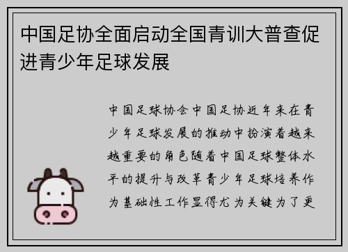 中国足协全面启动全国青训大普查促进青少年足球发展