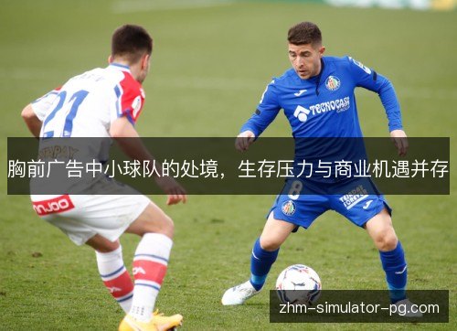 胸前广告中小球队的处境,生存压力与商业机遇并存 胸前广告中小球队的处境,生存压力与商业机遇并存